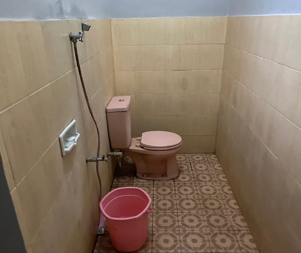 Deluxe Double Room | Bathroom | Shower, soap