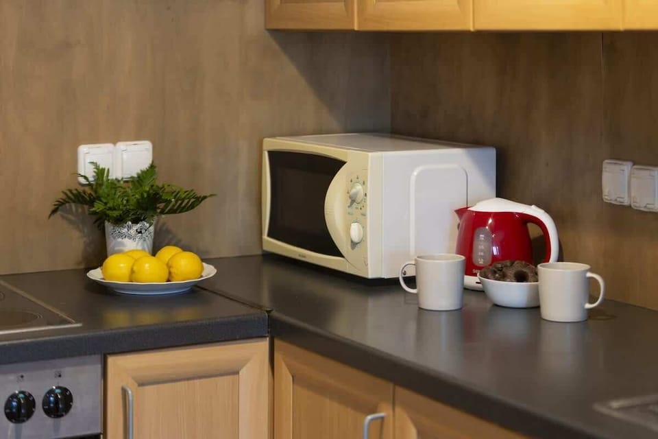 A close-up of a kitchen countertop with a microwave, coffee cups, and a small decorative plant.

