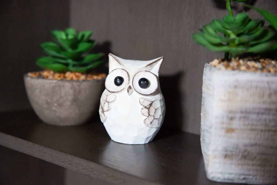 Whimsical charm that makes The Owl House feel like home