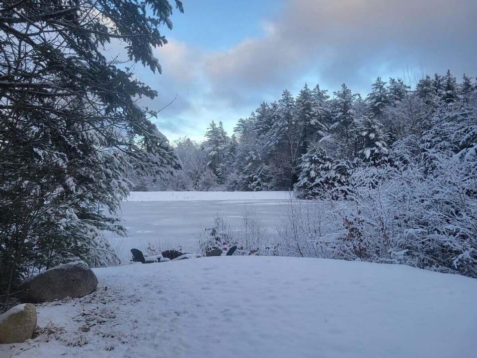 Backyard Overlooking Frozen Pond