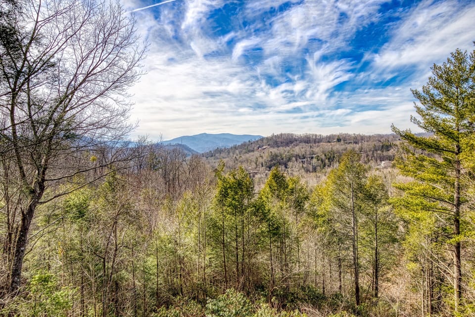 Smoky Mountain Chalet "Peak of Perfection" - View from back deck