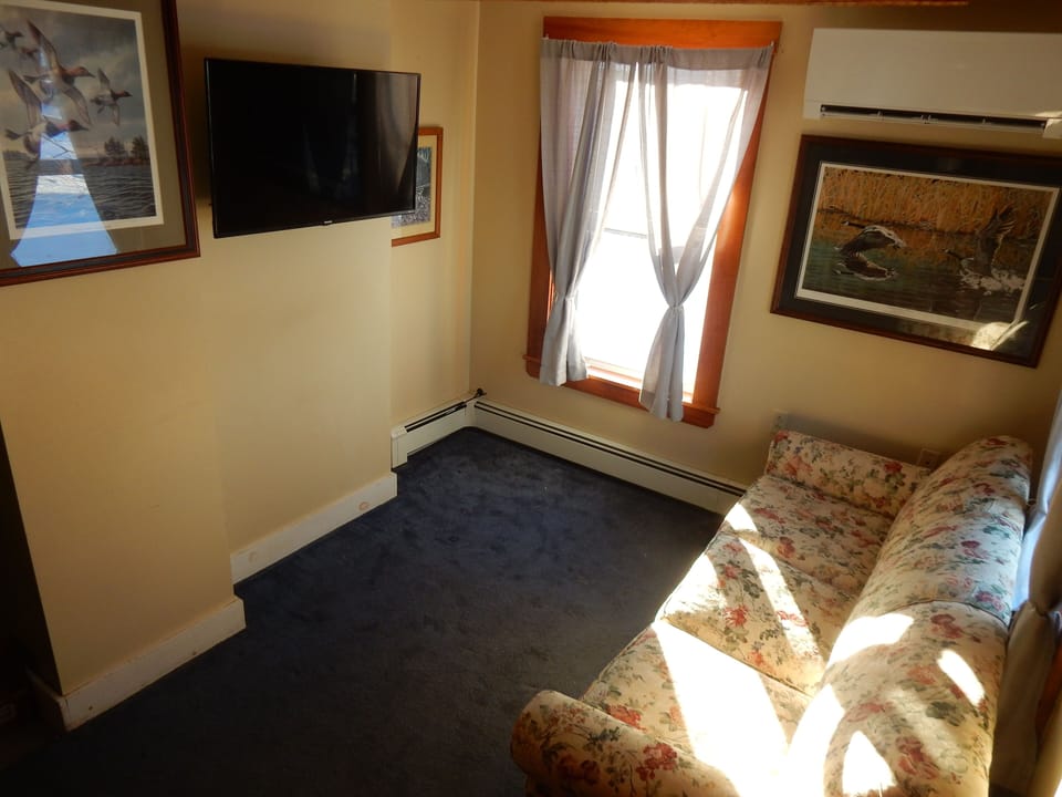 Our cozy living room has a queen sized sofa bed.