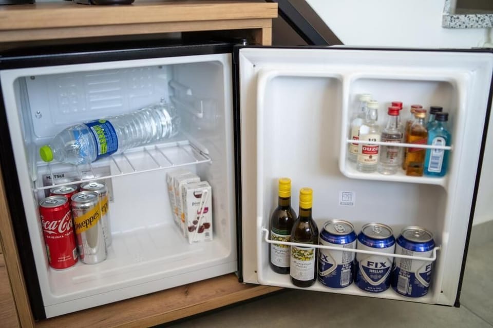 Mini-refrigerator
