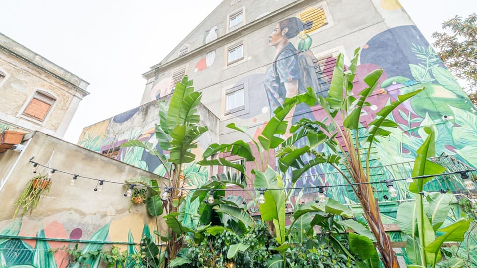 Miscellaneous