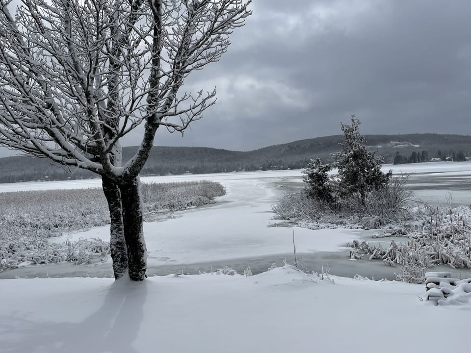 View from porch. Easy transition from frozen lake to land with snowmobile.