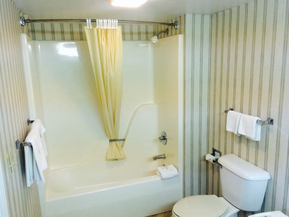 Combined shower/tub, free toiletries, hair dryer, bidet