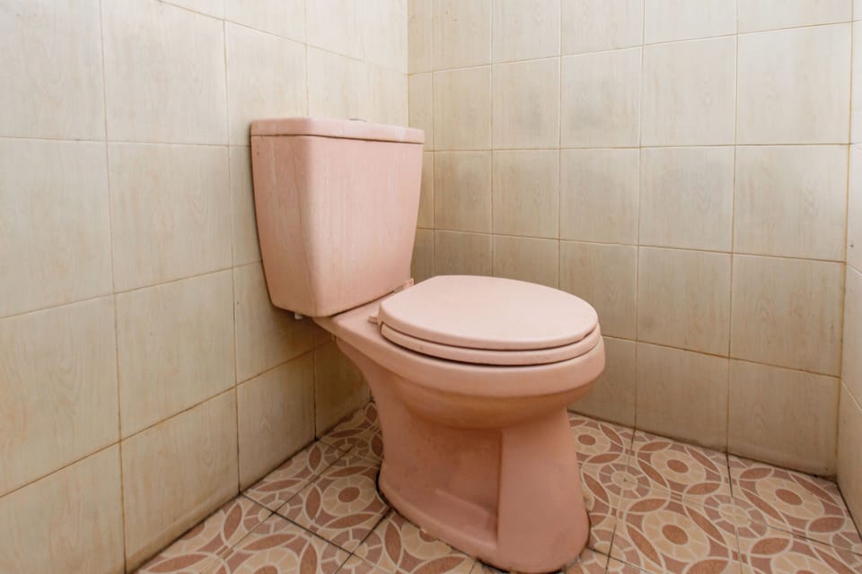 Deluxe Double Room | Bathroom | Shower, towels