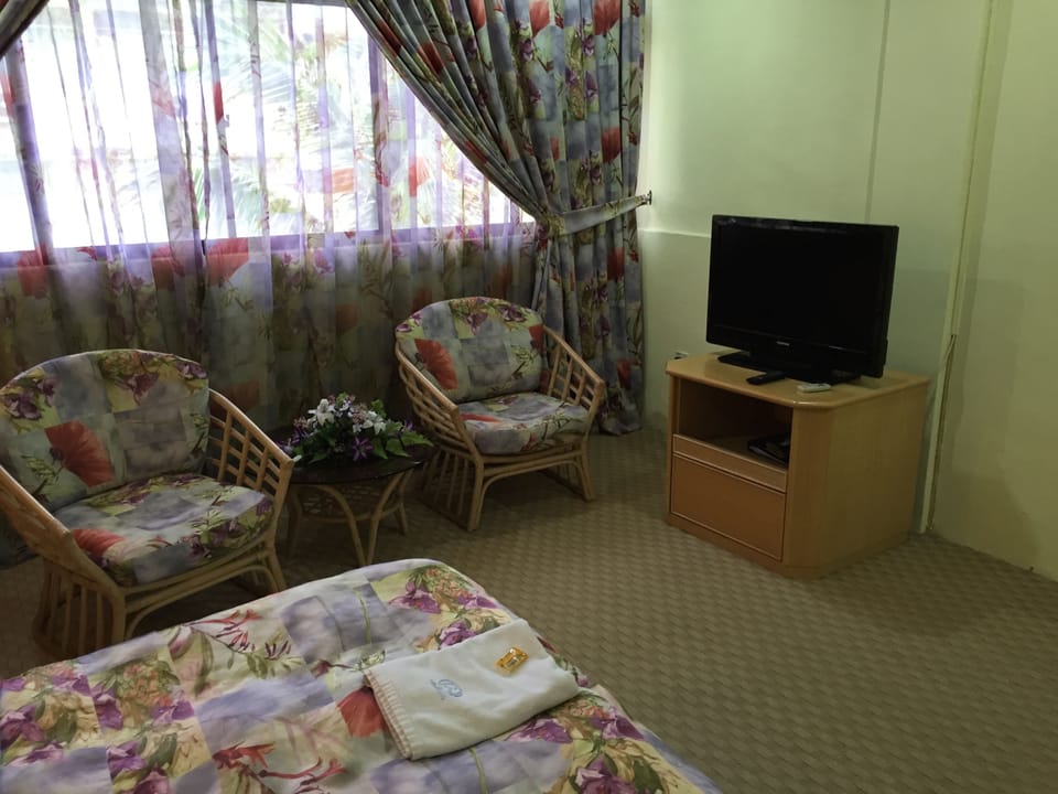 VIP Suite | Desk, laptop workspace, free WiFi, bed sheets