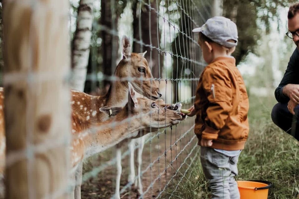 An unforgettable family adventure at Chester Zoo is just 5 minutes away, where 35,000 wildlife animal encounters await.