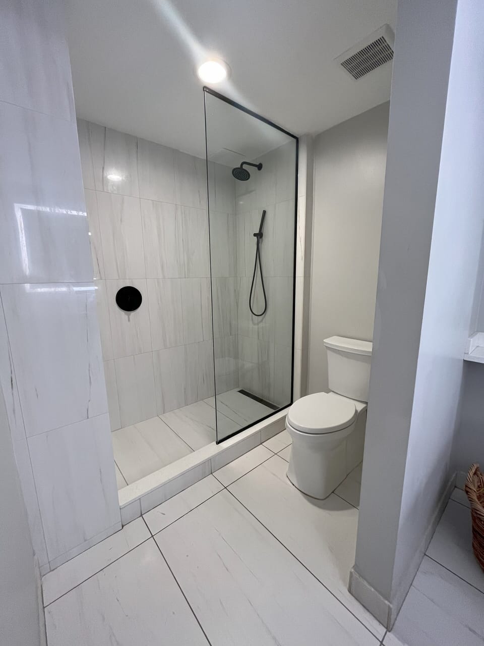 Shower and Toilet