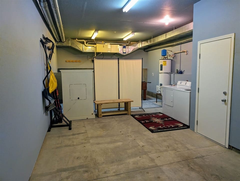 Laundry area in the garage.