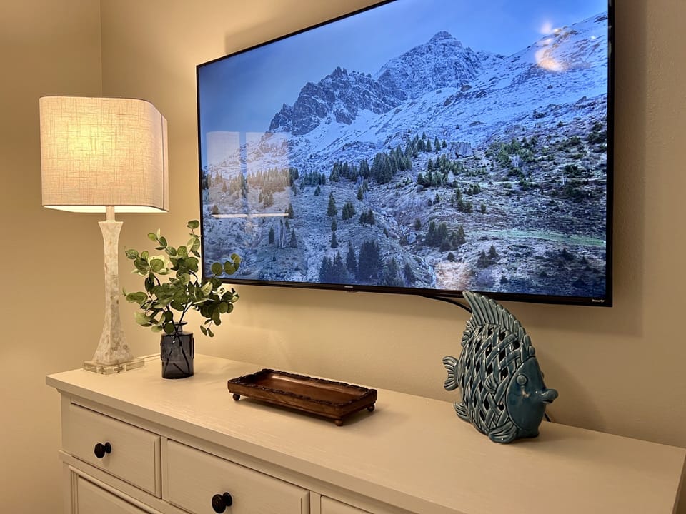 55" Smart TV in Guest Bedroom