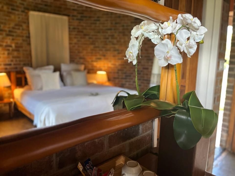 Standard Suite | 1 bedroom, Egyptian cotton sheets, premium bedding, blackout drapes
