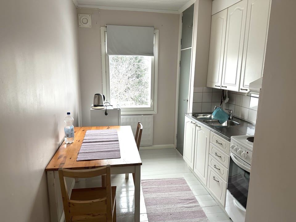 Traditional Apartment | Private kitchen | Oven, dishwasher, electric kettle, toaster