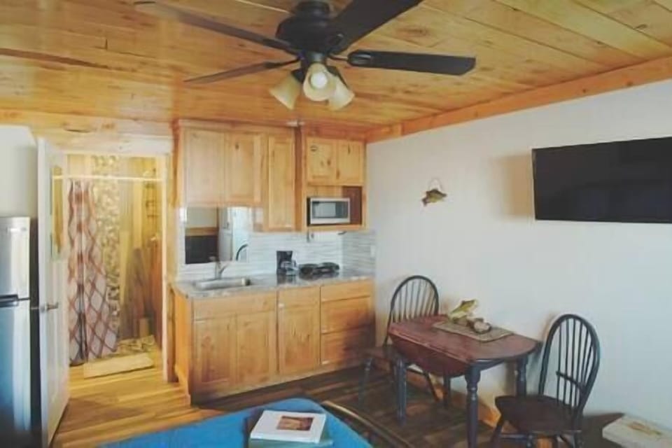 Kitchenette/dining area