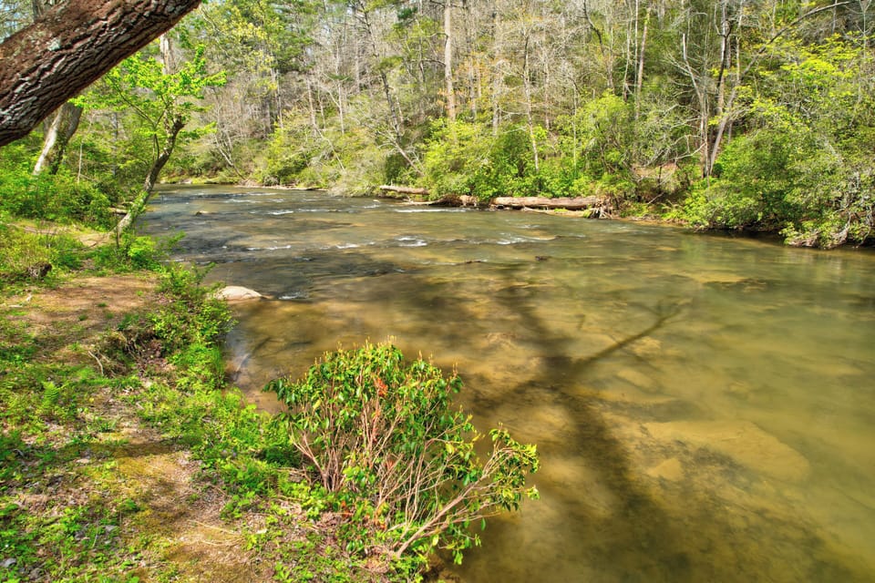 Enjoy direct access to Mountain Town Creek for fishing, tubing, and swimming.