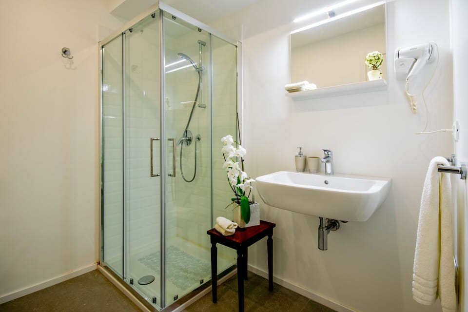 Shower, rainfall showerhead, hair dryer, bathrobes