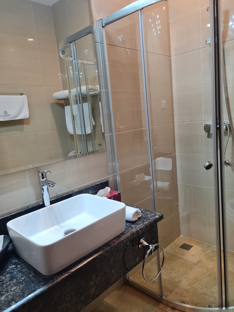 Standard Room | Bathroom