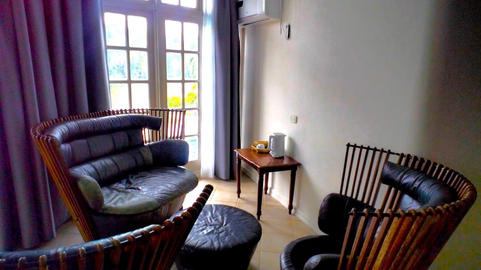 Executive Penthouse | Living area | 55-inch flat-screen TV with cable channels, DVD player