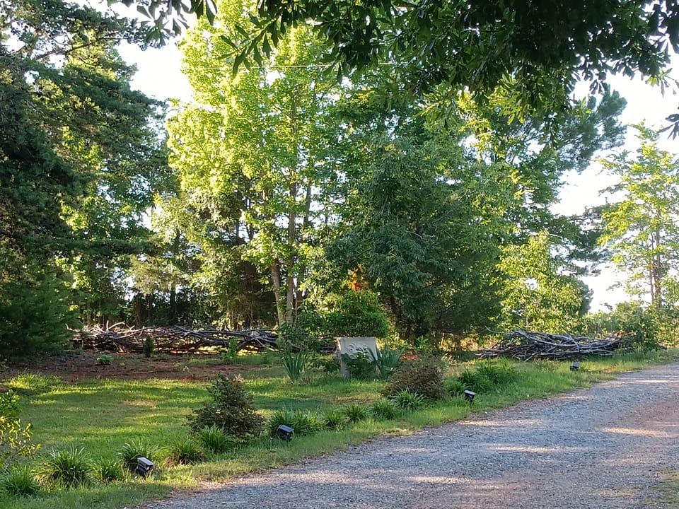 The entrance to your stay in Eden