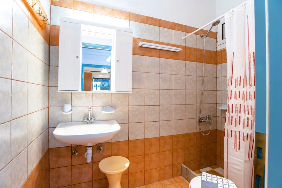 Shared Dormitory, 1 Bedroom | Bathroom