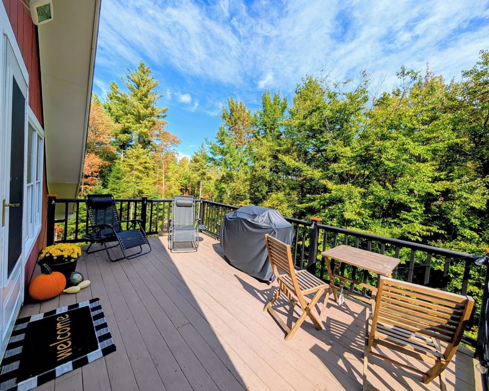 Summer afternoons on the deck. 