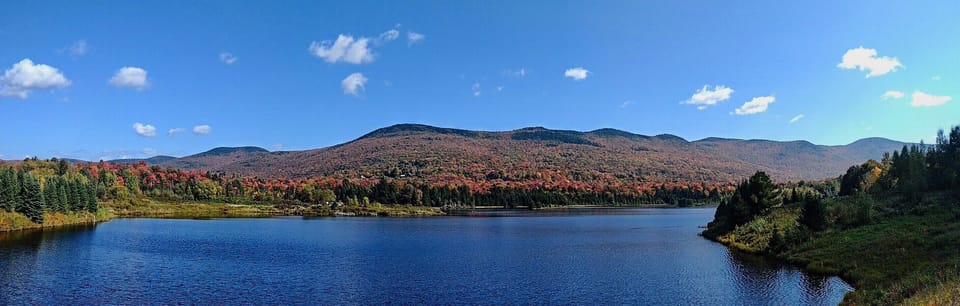 Blueberry Lake. A 7 minute walk from the suite.. 