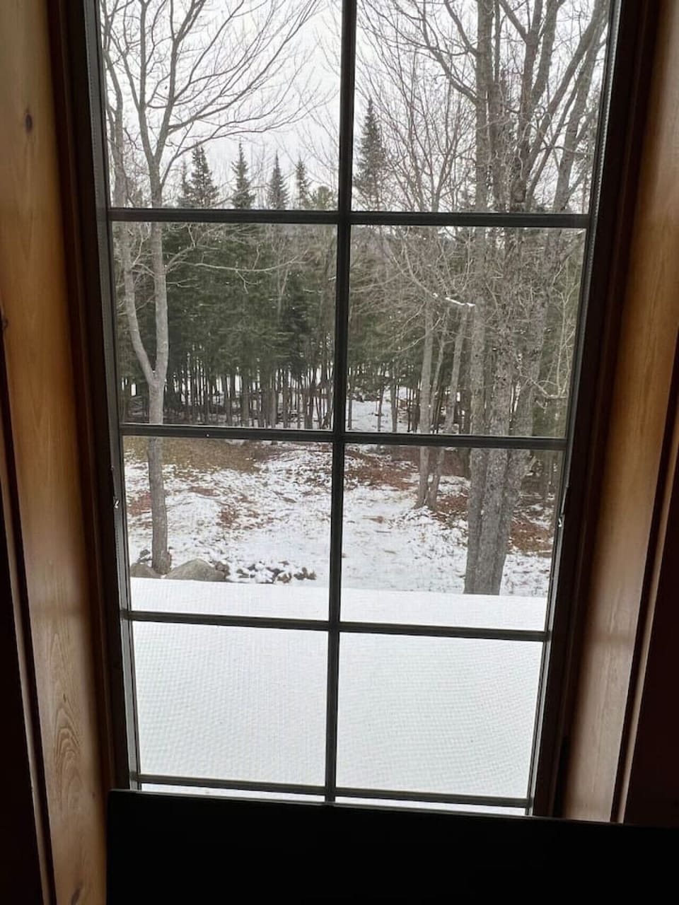 View from the Cabin