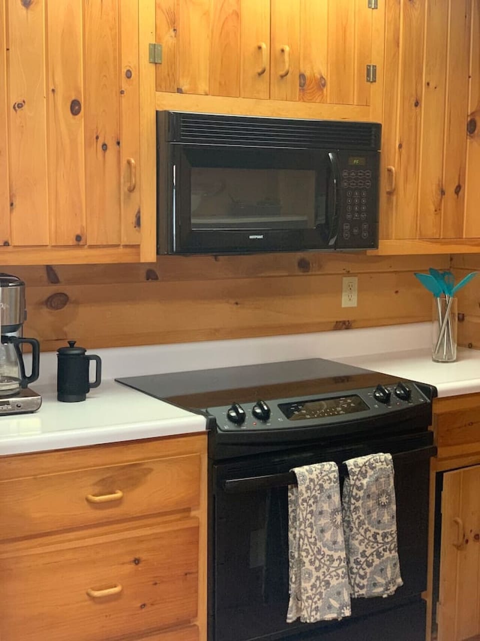 Electric Oven