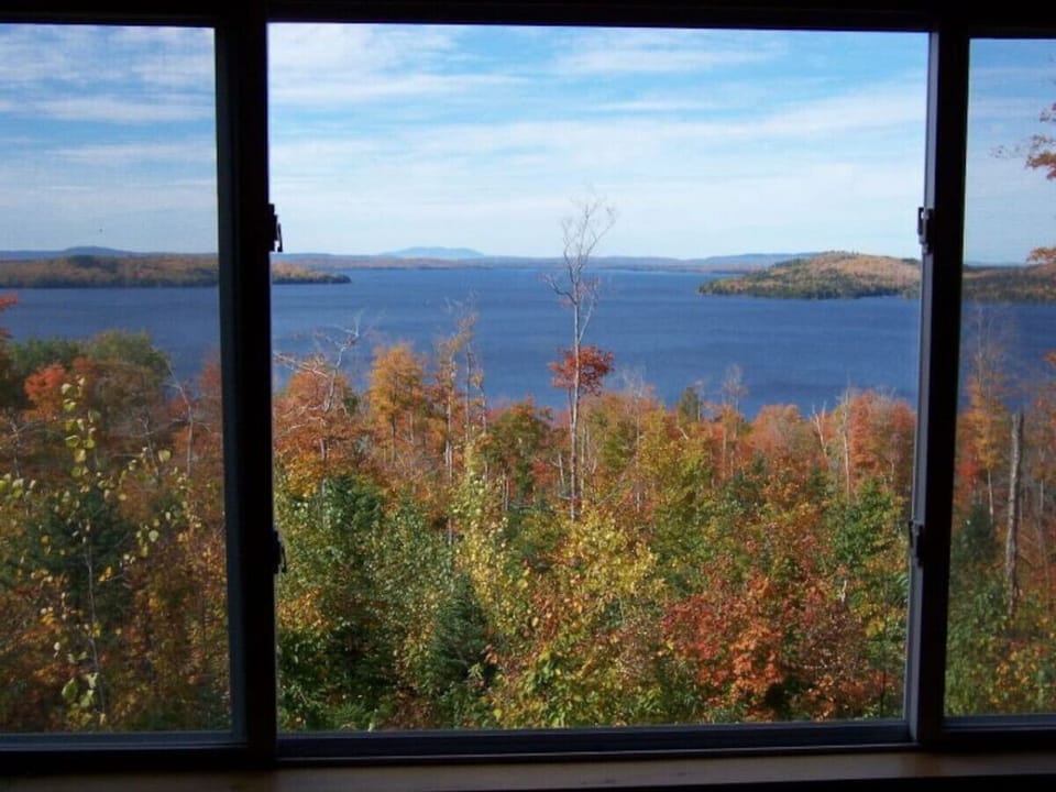 Views from the Cabin