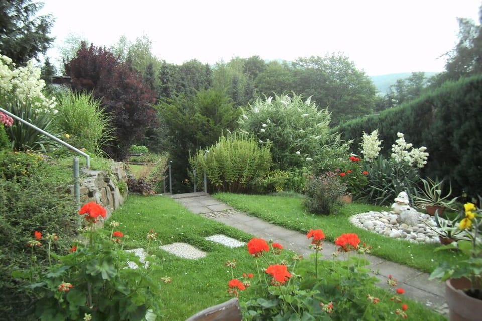 Garden [summer]