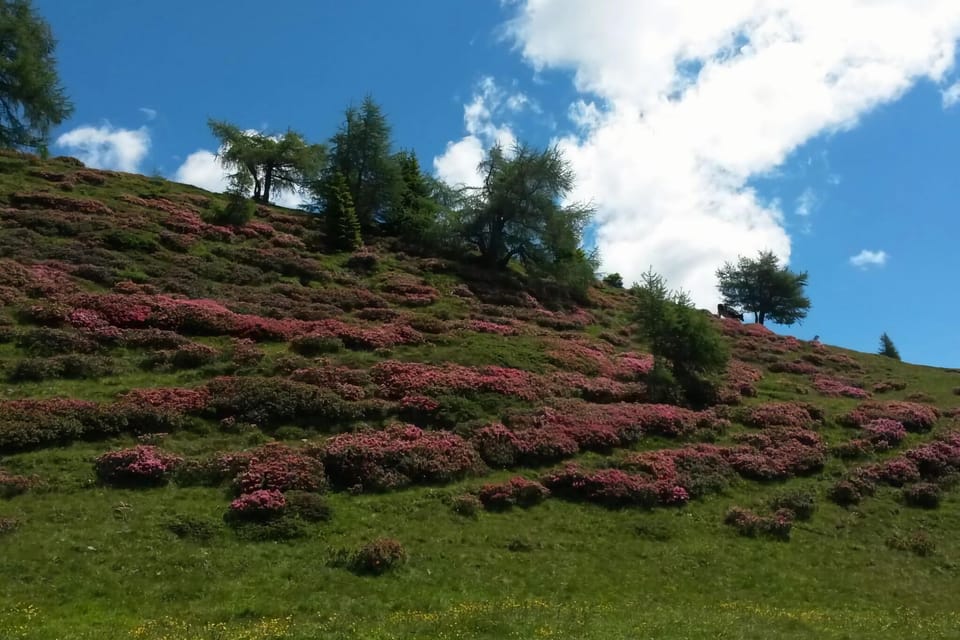 Surroundings [summer] (1-5 km)