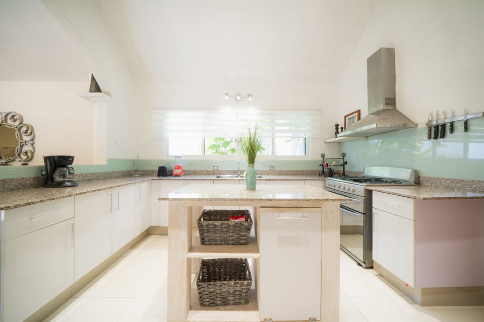 Deluxe Villa | Private kitchen | Full-size fridge, microwave, toaster, blender