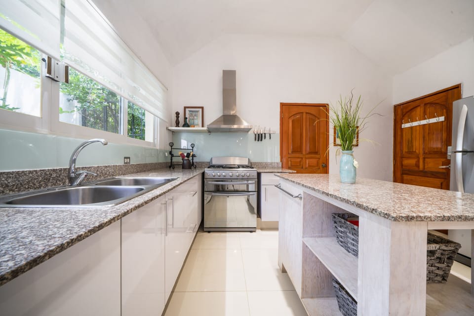 Deluxe Villa | Private kitchen | Full-size fridge, microwave, toaster, blender