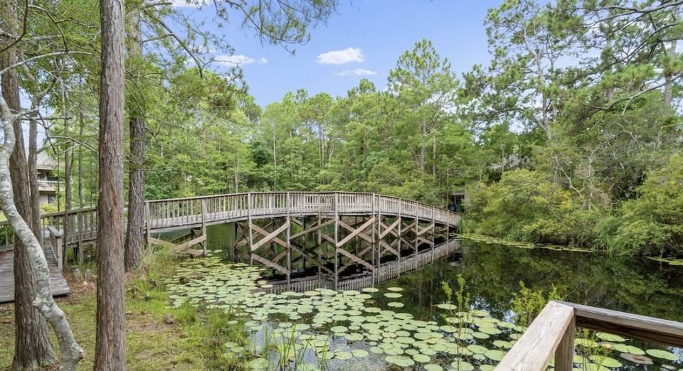 Bike and walking trails in Cassine Village