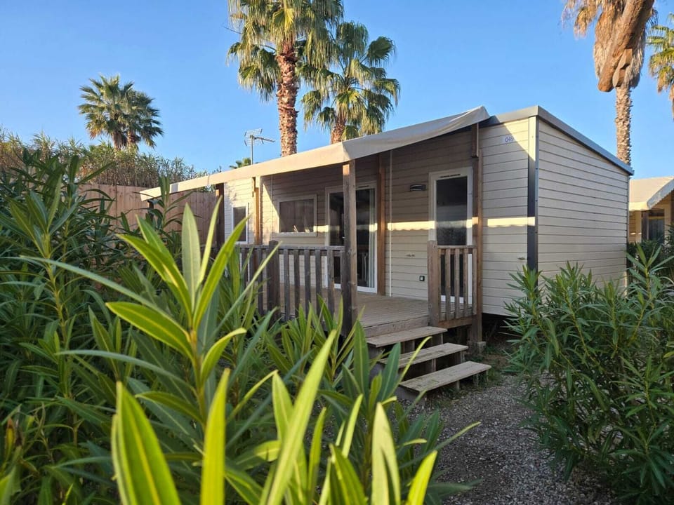 Welcoming camping home nestled among trees, offering a peaceful atmosphere close to nature.