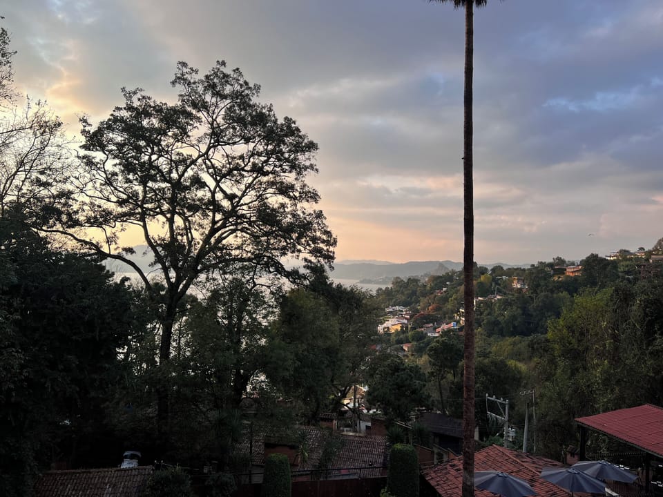 Senior Room (Olivo) | View from room