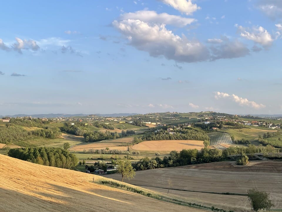 Scenic View, Summer