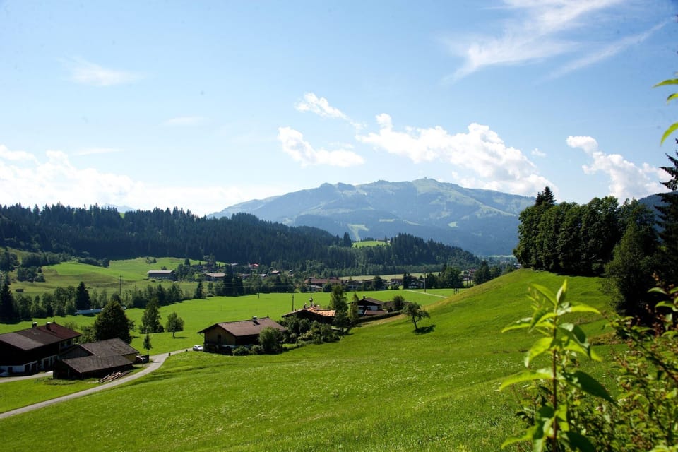 View from Holiday Home [summer]