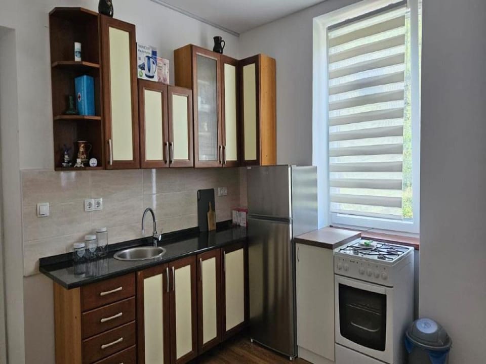 Apartment (Two Bedroom Apartment with Terrace) | Private kitchen | Fridge