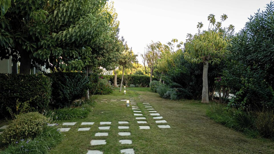 View of the spacious garden