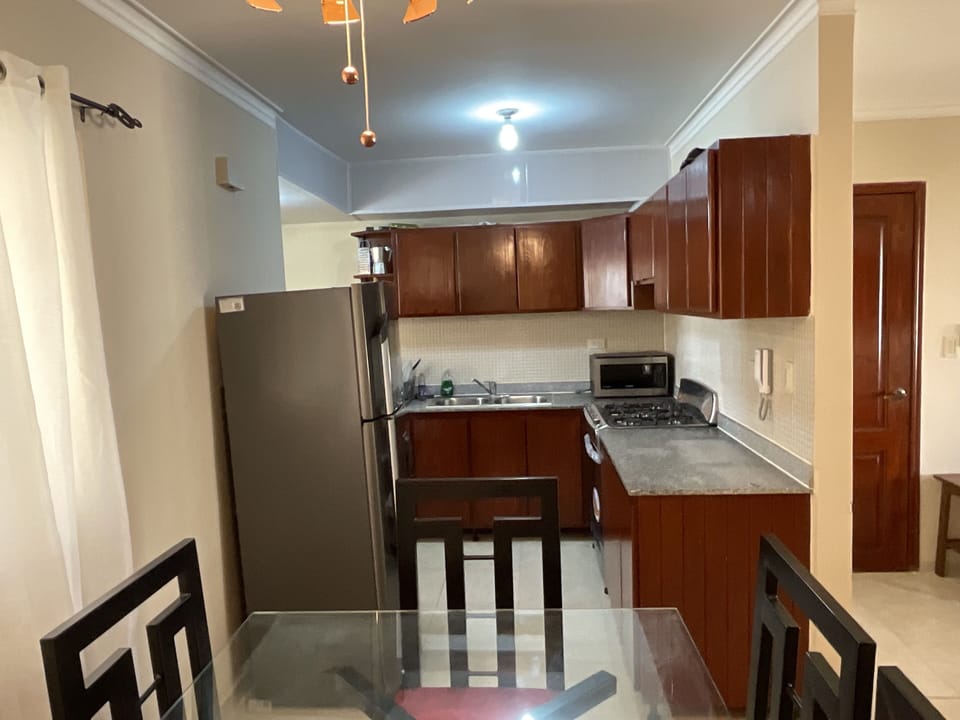 City Apartment | Private kitchen | Full-size fridge, microwave, oven, blender