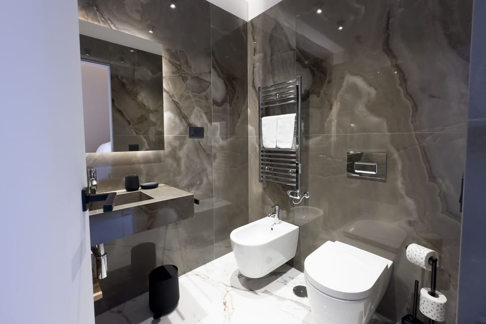 Deluxe Room | Bathroom | Shower, free toiletries, hair dryer, bathrobes