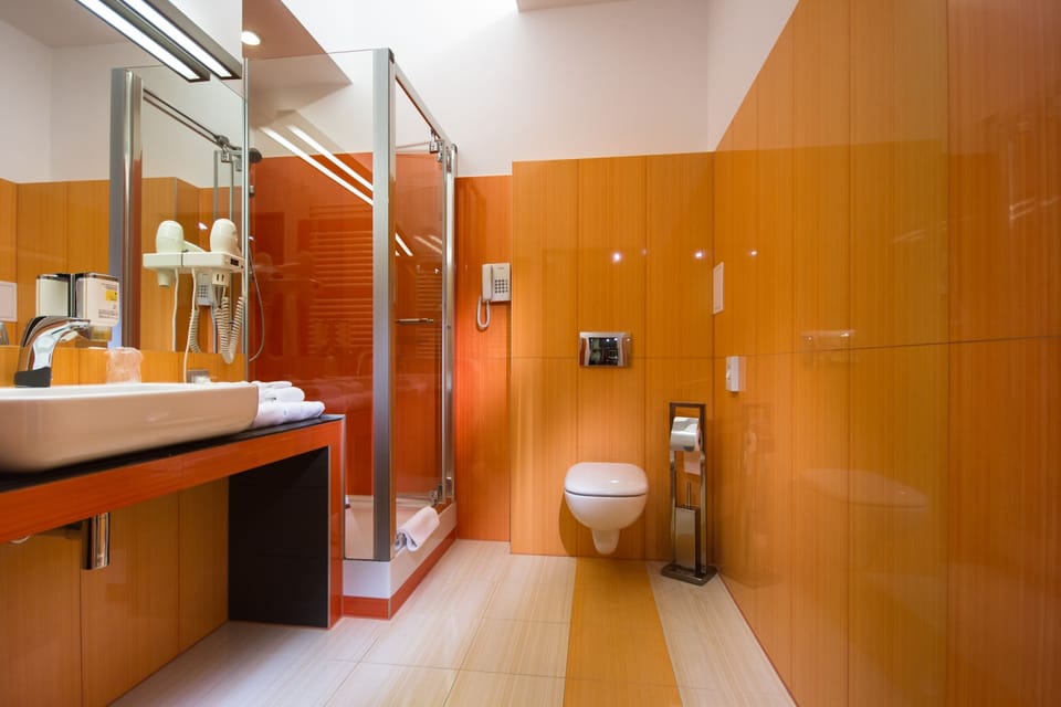 Apartment | Bathroom | Shower, hair dryer, towels