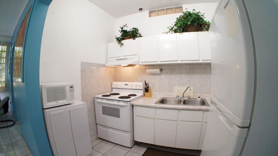 Fridge, microwave, stovetop, cookware/dishes/utensils