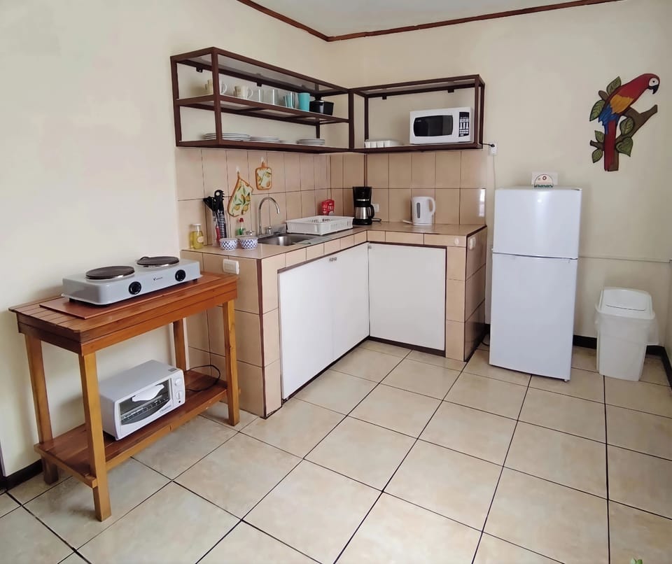Basic Apartment | Private kitchen | Full-size fridge, microwave, oven, stovetop