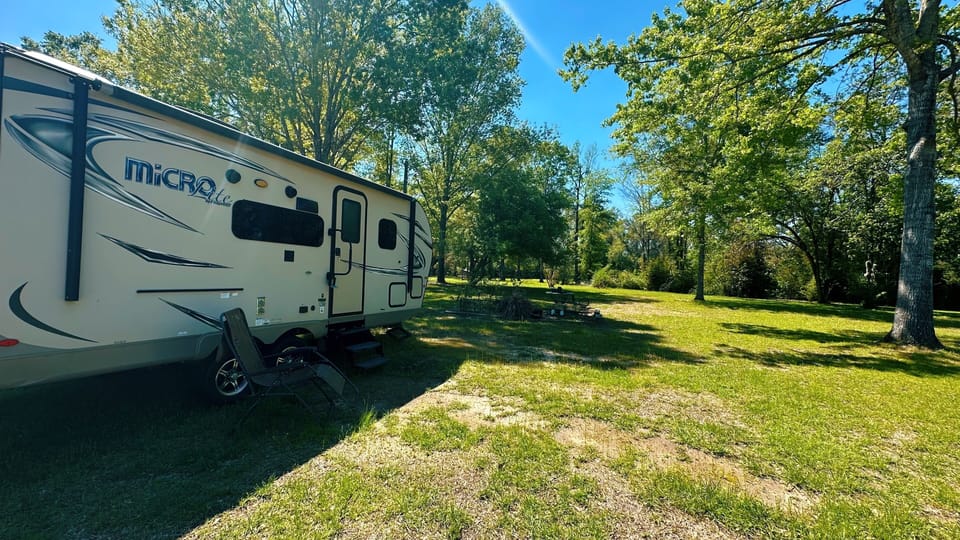 Enjoy this sunny outdoor space with plenty of room to roam and a BBQ grill!