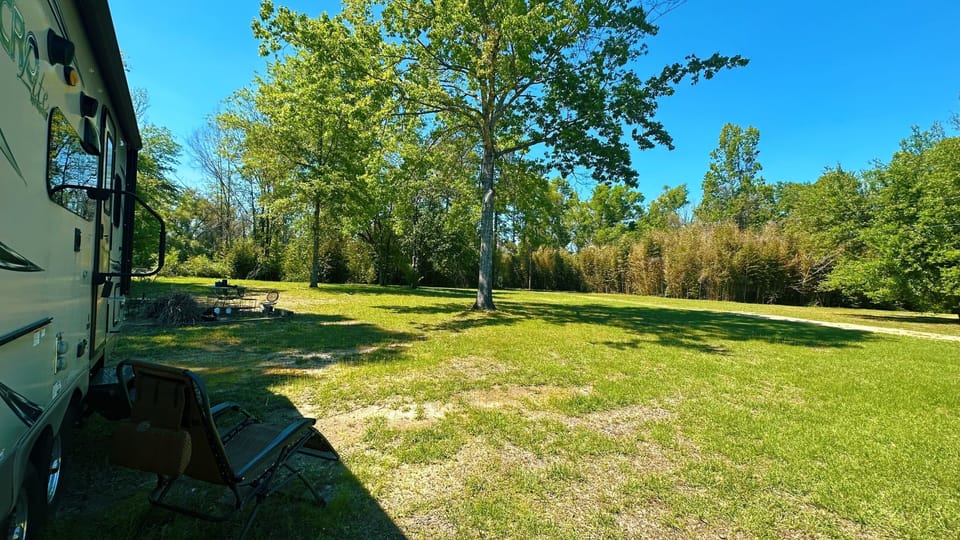 Enjoy this sunny outdoor space with plenty of room to roam and a BBQ grill!