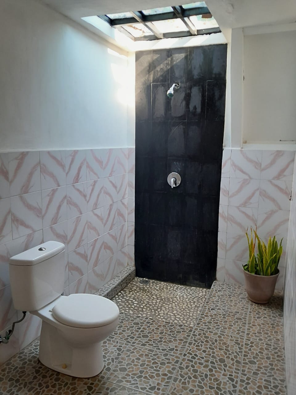 Basic Room | Bathroom