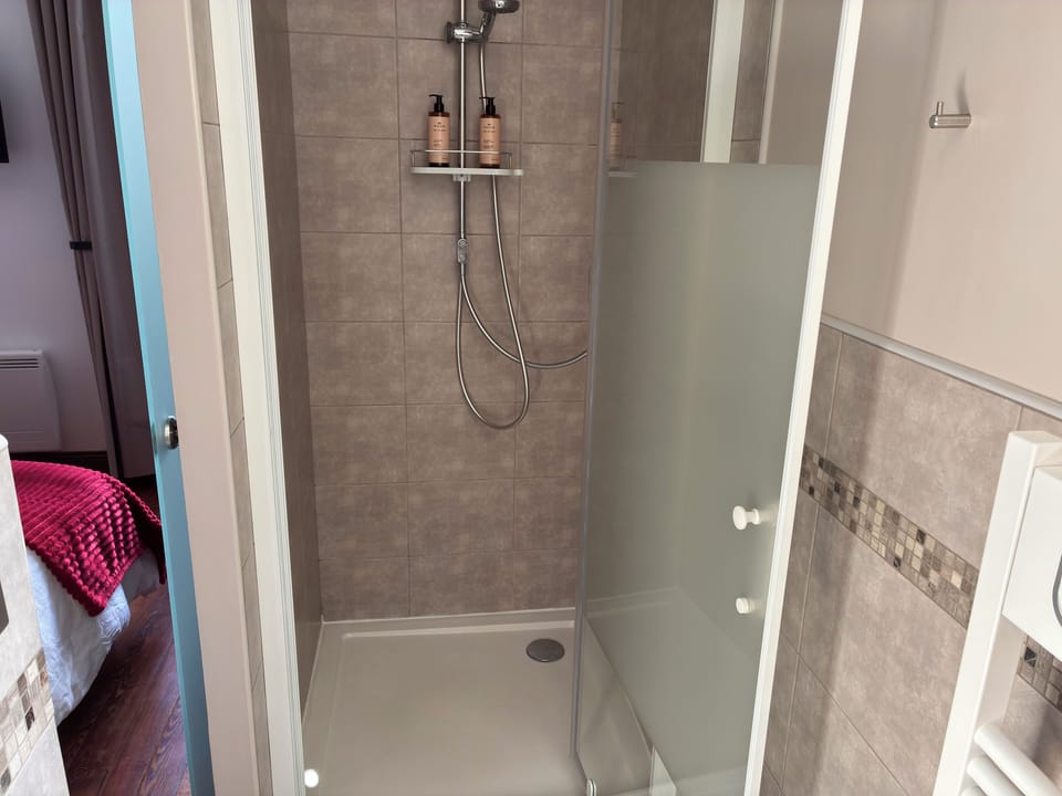 Premium Room, 1 Queen Bed (Gold Beach) | Bathroom | Shower, hydromassage showerhead, designer toiletries, hair dryer